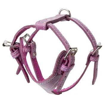 Plain Leather Harness 3/4" - Small