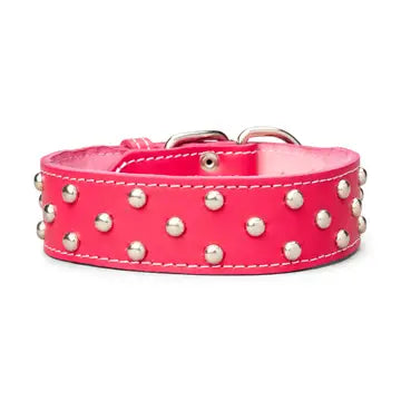 Studded Leather Collar 1 3/4" Wide
