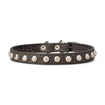Studded Leather Collar 5/8" Wide