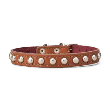 Studded Leather Collar 5/8" Wide