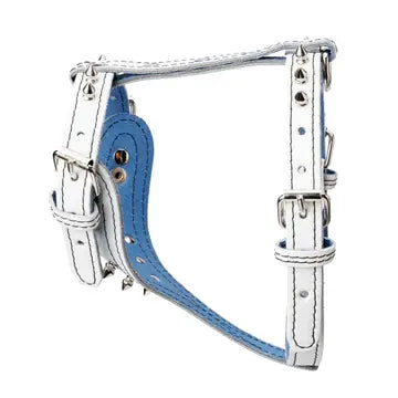 Spiked Leather Harness 3/4" - Small
