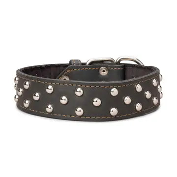 Studded Leather Collar 1 3/4" Wide