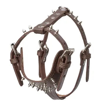 Spiked Leather Harness 3/4" - Small