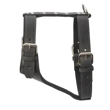 Plain Leather Harness 1 1/4" - Large