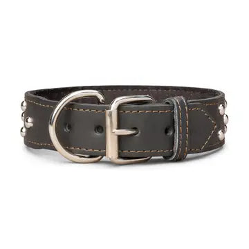 Studded Leather Collar 1 3/4" Wide