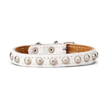 Studded Leather Collar 5/8" Wide