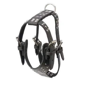 Studded Leather Harness 1 1/4" - Large