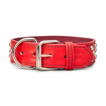 Studded Leather Collar 1 3/4" Wide