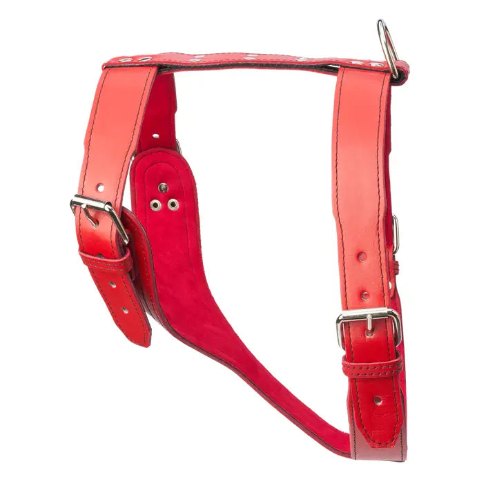 Plain Leather Harness 1 3/4" - X-Large