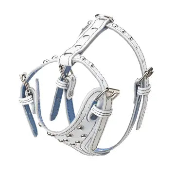 Studded Leather Harness 3/4" - Small