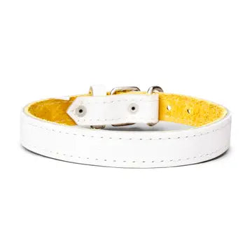 Classic Plain Leather Collar 1" Inch Wide