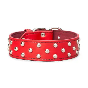 Studded Leather Collar 1 3/4" Wide