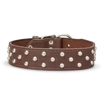 Studded Leather Collar 1 3/4" Wide