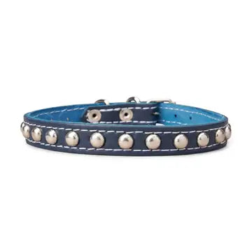 Studded Leather Collar 5/8" Wide