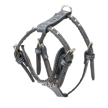 Studded Leather Harness 3/4" - Small
