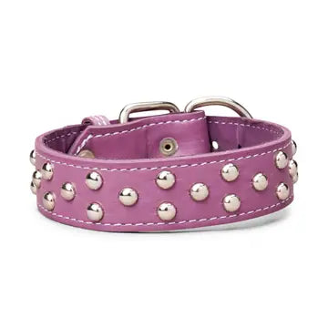 Studded Leather Collar 1 3/8" Inch Wide