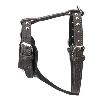 Studded Leather Harness 3/4" - Small