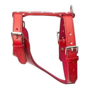 Plain Leather Harness 1 1/2" - Heavy Duty Large