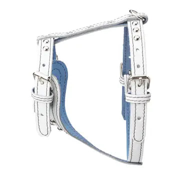 Studded Leather Harness 3/4" - Small