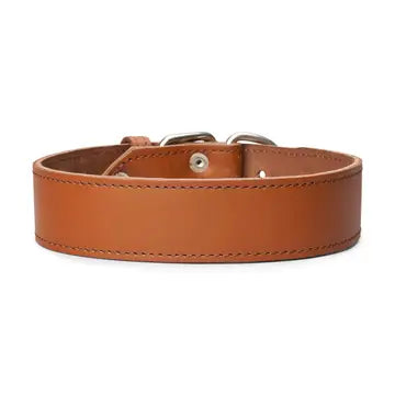 Plain Leather Collar 1 3/4" Wide