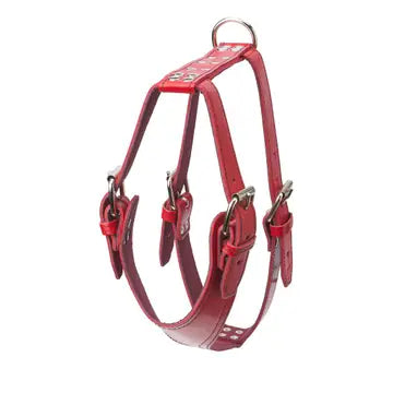 Plain Leather Harness 1 1/4" - Large