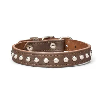 Studded Leather Collar 1" Inch Wide