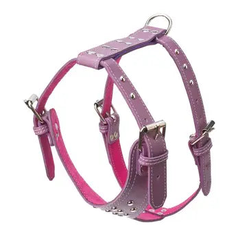 Studded Leather Harness 1 1/4" - Medium