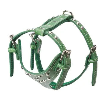 Studded Leather Harness 3/4" - Small