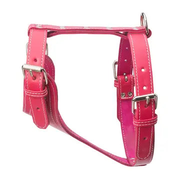 Plain Leather Harness 1 1/2" - Heavy Duty Medium
