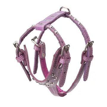 Studded Leather Harness 3/4" - Small