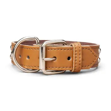 Studded Leather Collar 1 3/8" Inch Wide