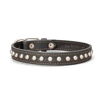 Studded Leather Collar 1" Inch Wide
