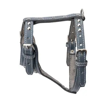 Studded Leather Harness 3/4" - Small