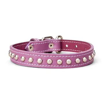 Studded Leather Collar 1" Inch Wide