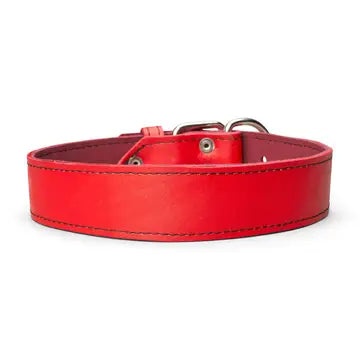 Plain Leather Collar 1 3/4" Wide