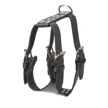 Plain Leather Harness 1 1/4" - Large