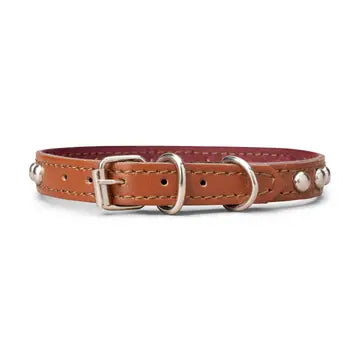 Studded Leather Collar 5/8" Wide
