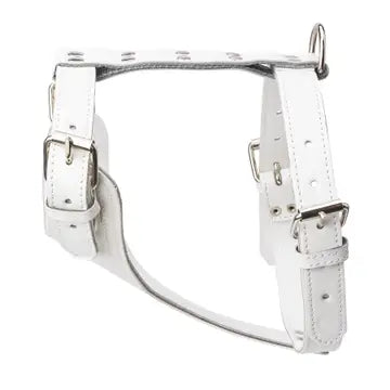 Plain Leather Harness 1 1/4" - Medium