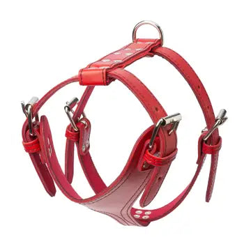Plain Leather Harness 1 1/4" - Medium