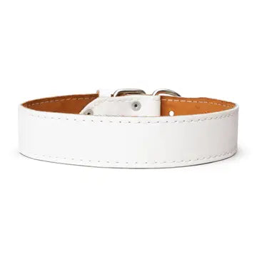 Plain Leather Collar 1 3/4" Wide
