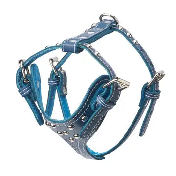Studded Leather Harness 3/4" - Small
