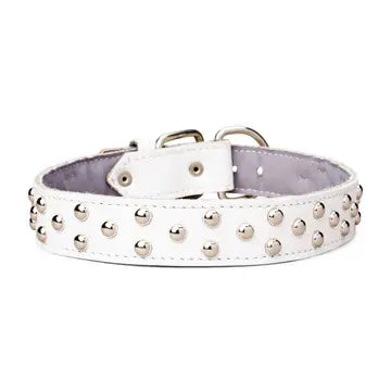 Studded Leather Collar 1 3/8" Inch Wide