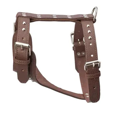 Studded Leather Harness 1 1/4" - Medium