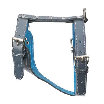 Plain Leather Harness 1 1/4" - Large