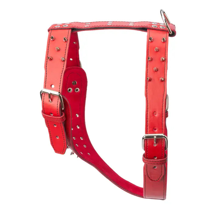 Spiked Leather Harness 1 3/4" - XL