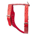 Spiked Leather Harness 1 3/4" - XL