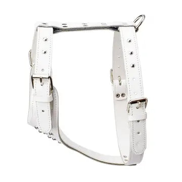 Studded Leather Harness 1 1/4" - Medium
