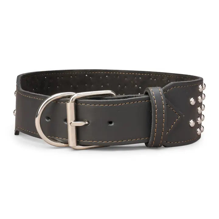 Studded Leather Collar 3" Inch Wide