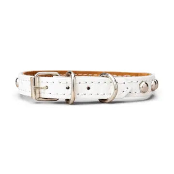 Studded Leather Collar 5/8" Wide