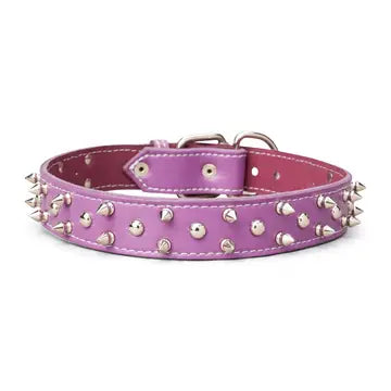 Spiked & Studded Leather Collar 1 3/8"
